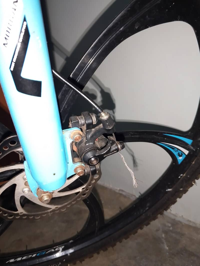 fresh condition Cycle 2