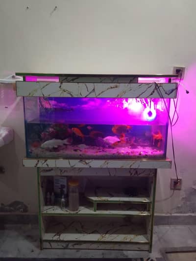 Fish equirium