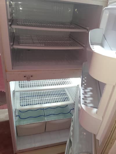 pel fridge