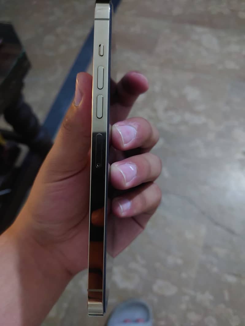 13 pro max 3