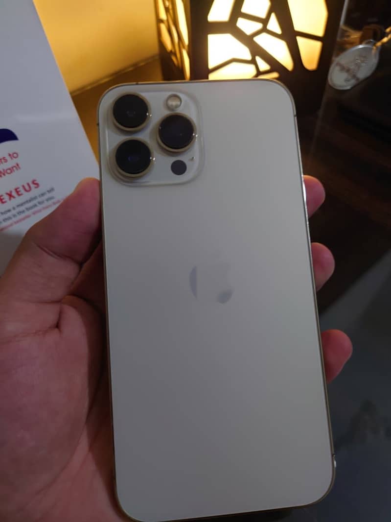 13 pro max 12