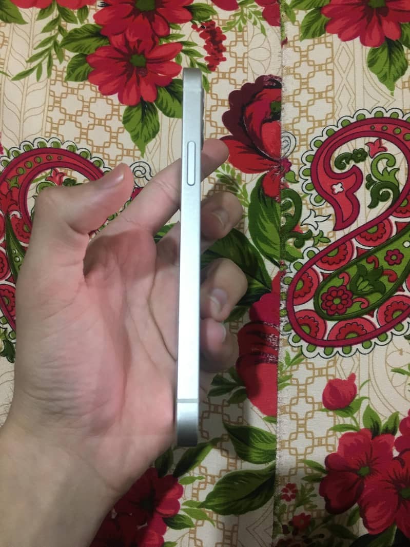 Apple iPhone 12 0