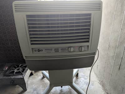 fresh condition