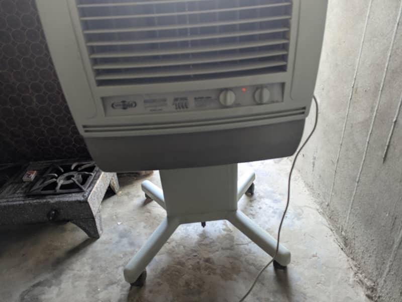 fresh condition 1
