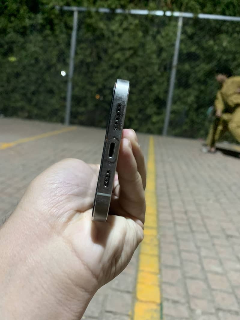 12 pro max 2