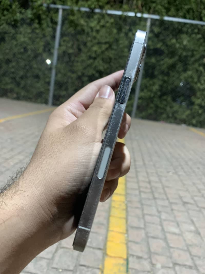 12 pro max 3