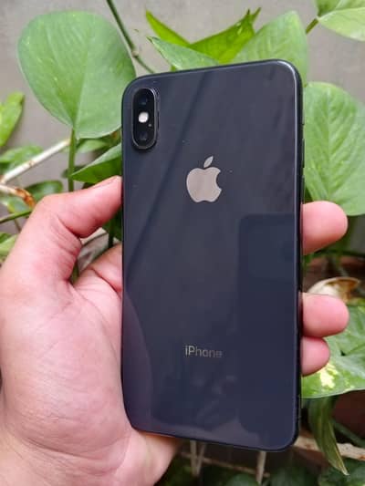 Apple iPhone X