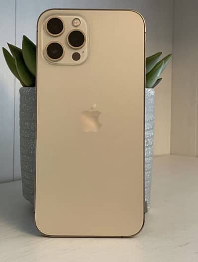 Apple iPhone 12 Pro Max