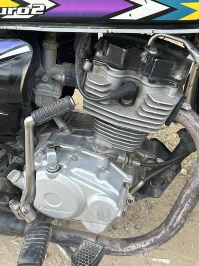 honda 125 19/20 All punjab number