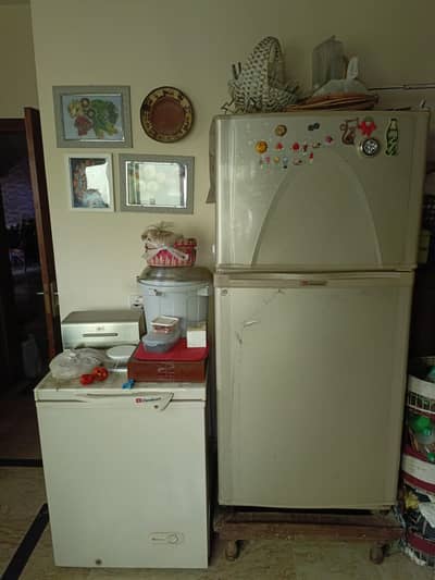 Dawlance Full Huge Size Refrigerator & Dawlance Deep Freezer