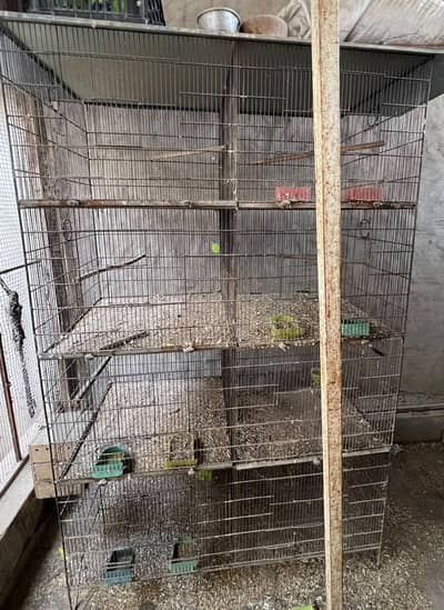 urgent sale