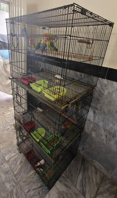 3 portion cage 2x1.5x1.5 (Master)