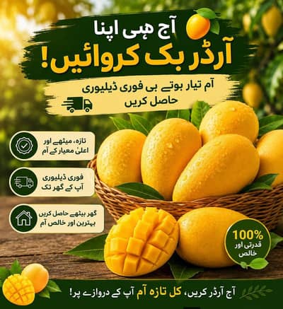 Metha Multan "Mango Farm'