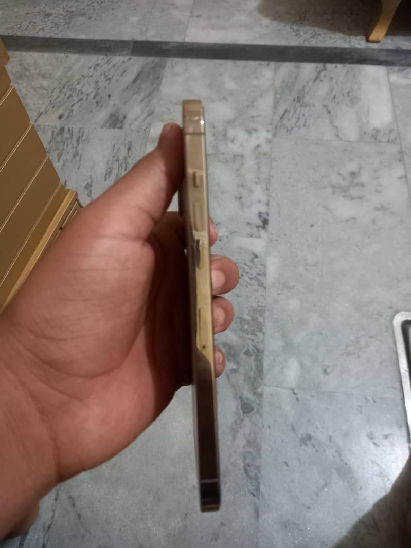 Apple iPhone 12 Pro Max 2