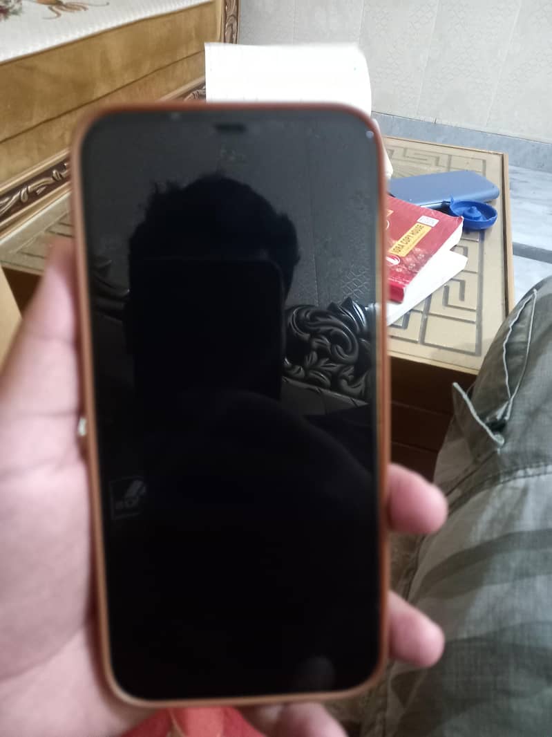 Apple iPhone 12 Pro Max 5