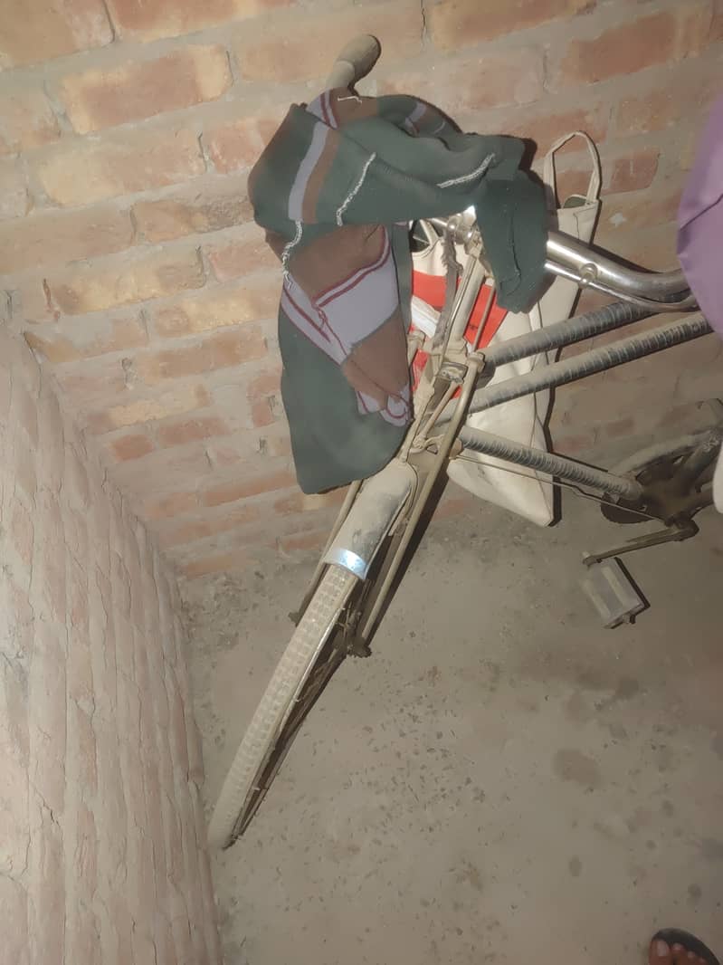 Baba cycle 1