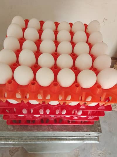 farmi ande (egg)