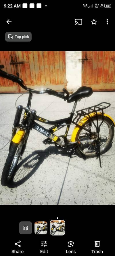 Sumac bicycle