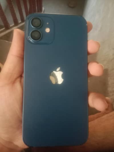 Apple I phone 12. . exchange. . . . . . . 64 gb water peack  10 by 10