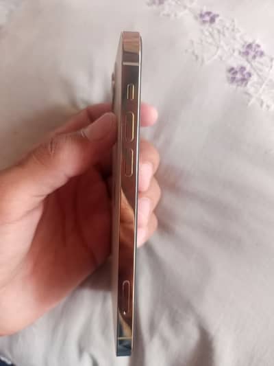 iPhone 12 Pro jv
