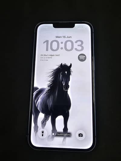 Apple iPhone 13