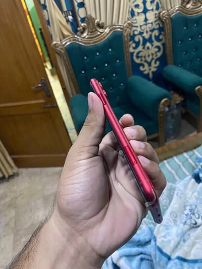 Apple iPhone 11 jv