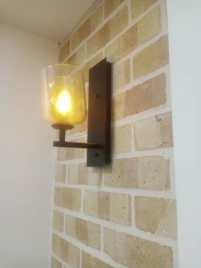 ceiling light roof light fan net cable