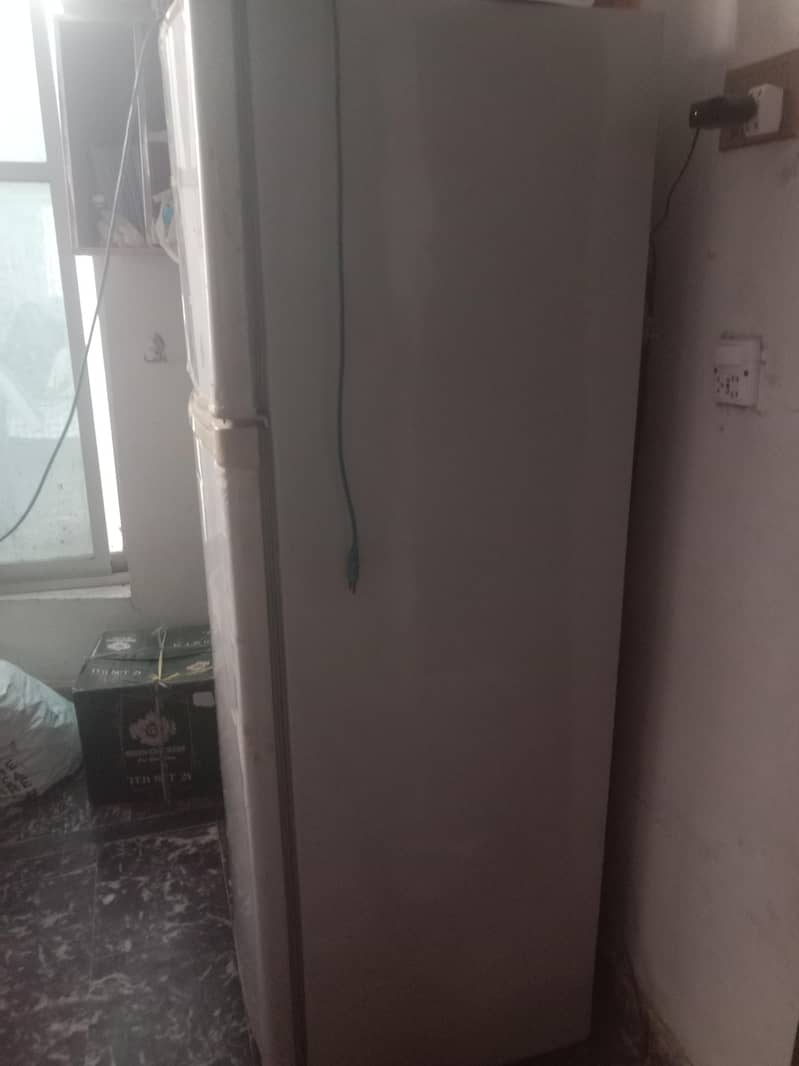 fridge 1