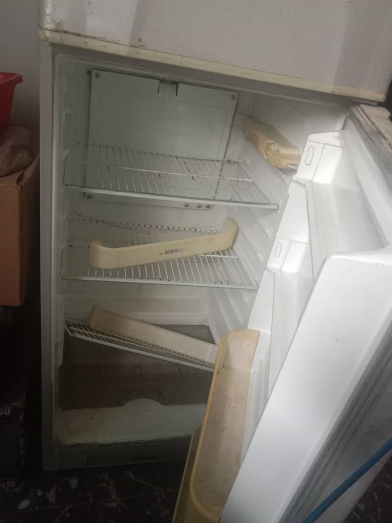 fridge 2