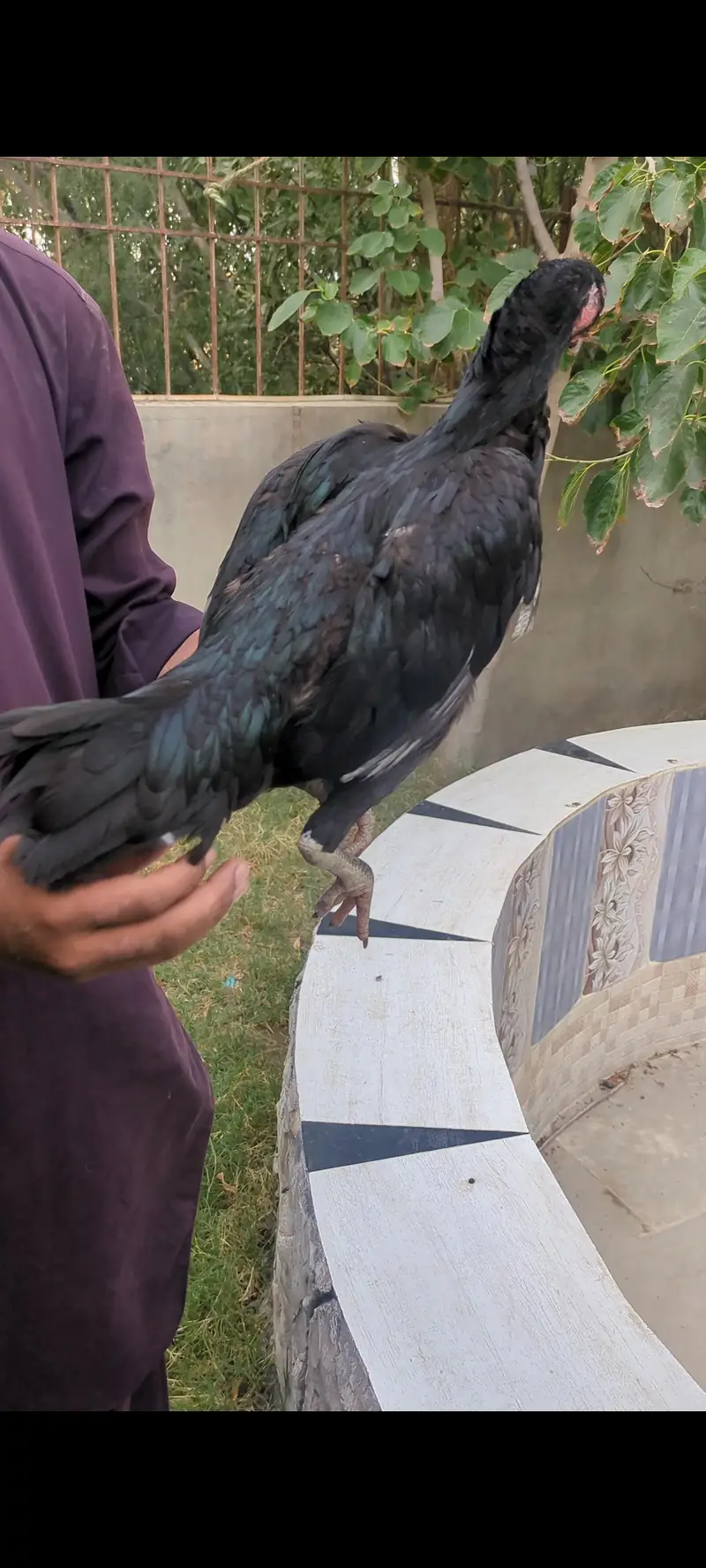 active female — photo 3