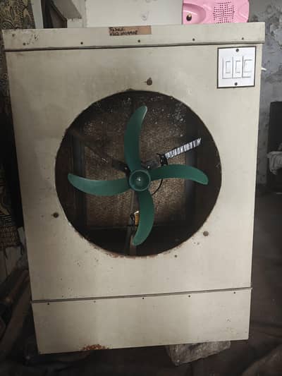 full size cooler (12 watt)