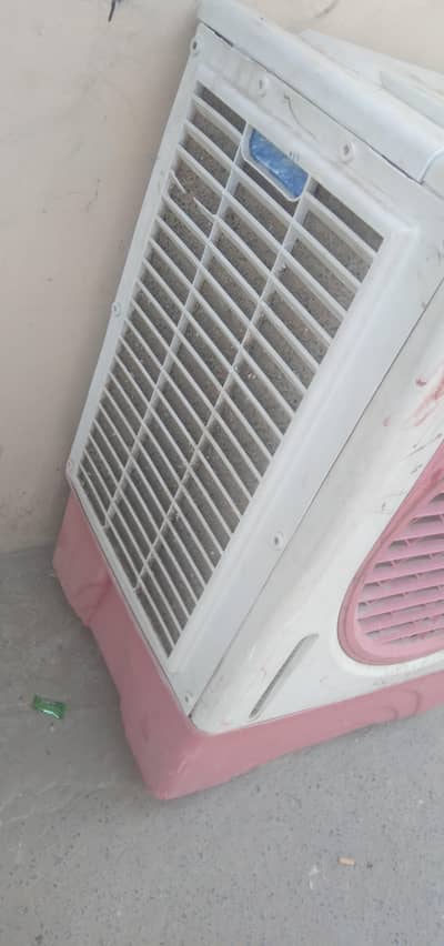 sb chez thek ha lany bhi rabta kre