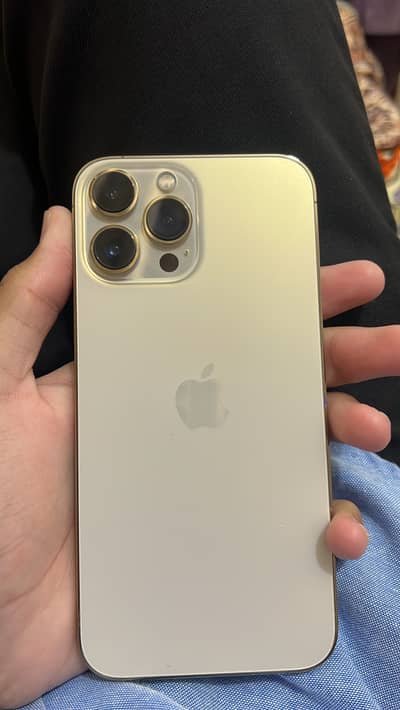 Apple iPhone 13 Pro Max