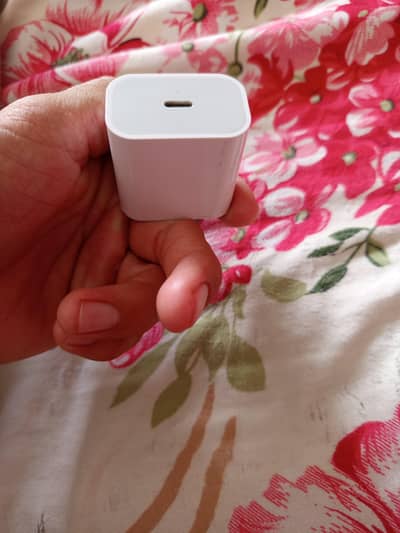 IPhone charger