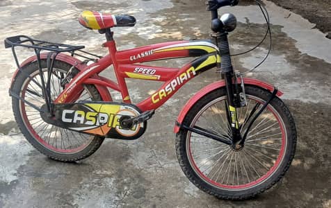 bicycle in a good condition