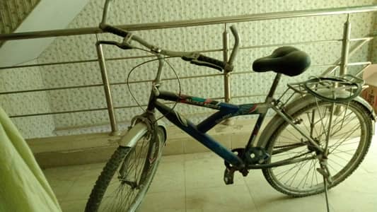 large cycle