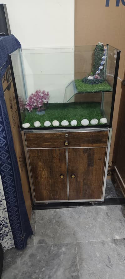 fish aquarium