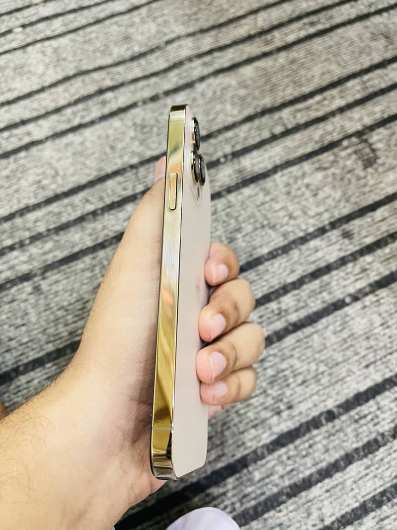 Iphone 13 pro max 1