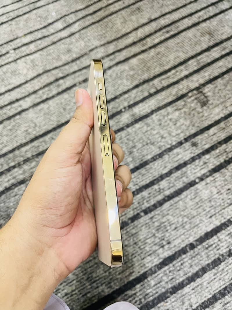 Iphone 13 pro max 2