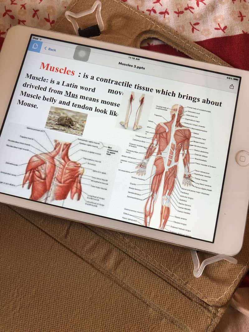 Apple iPad Mini 2
