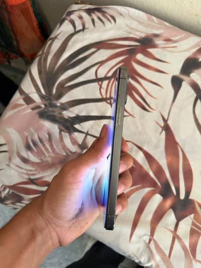 Apple iPhone 12 Pro Max