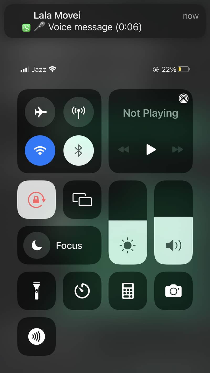 Apple iPhone 7 Plus 0