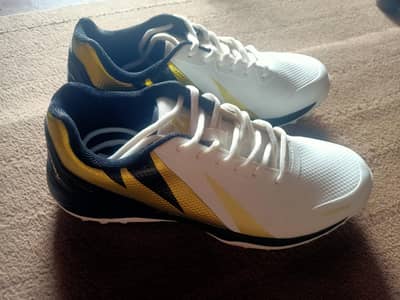 New FG Don fg666 Cricket Sheos Size 9 For Sale