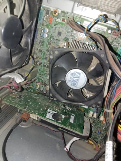 Nvidia Quadri K620