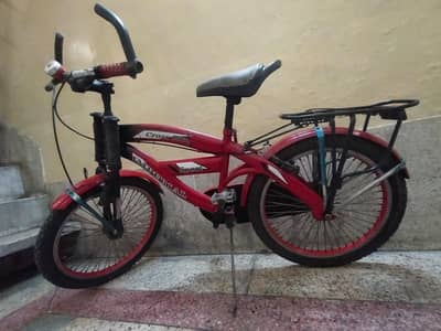 Imported Sports Bicycle