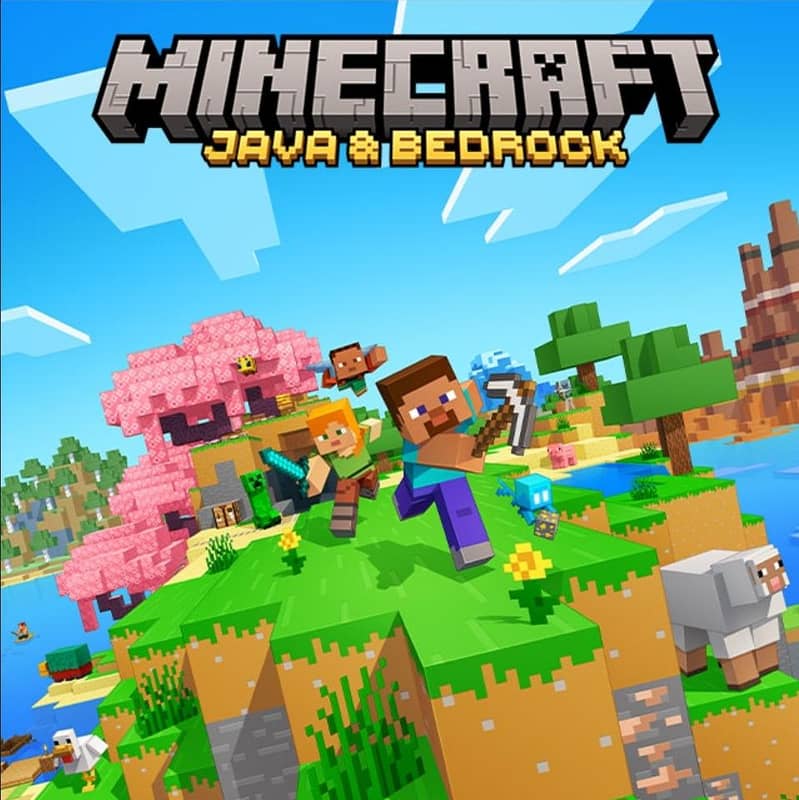 Minecraft java and bedrock ( permanent ) 0