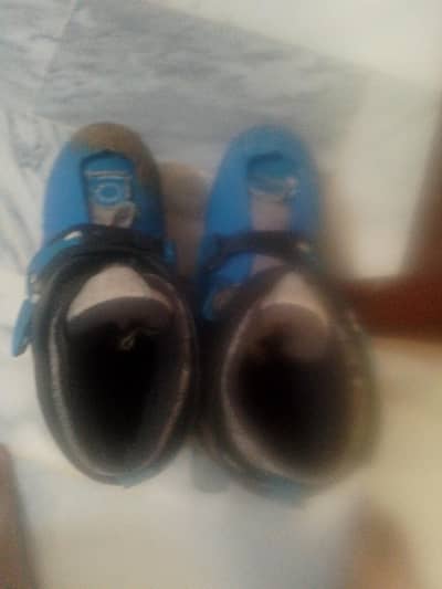 skates