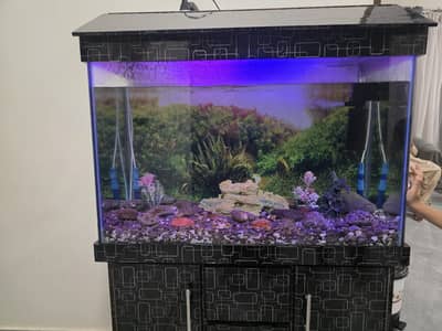 PREMIUM QUALITY 3FT AQURAIUM LIKE BRAND NEW FOR SALE