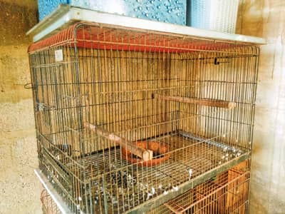 raw parrots breeding Cages for sale