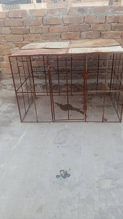 hen cages for sale